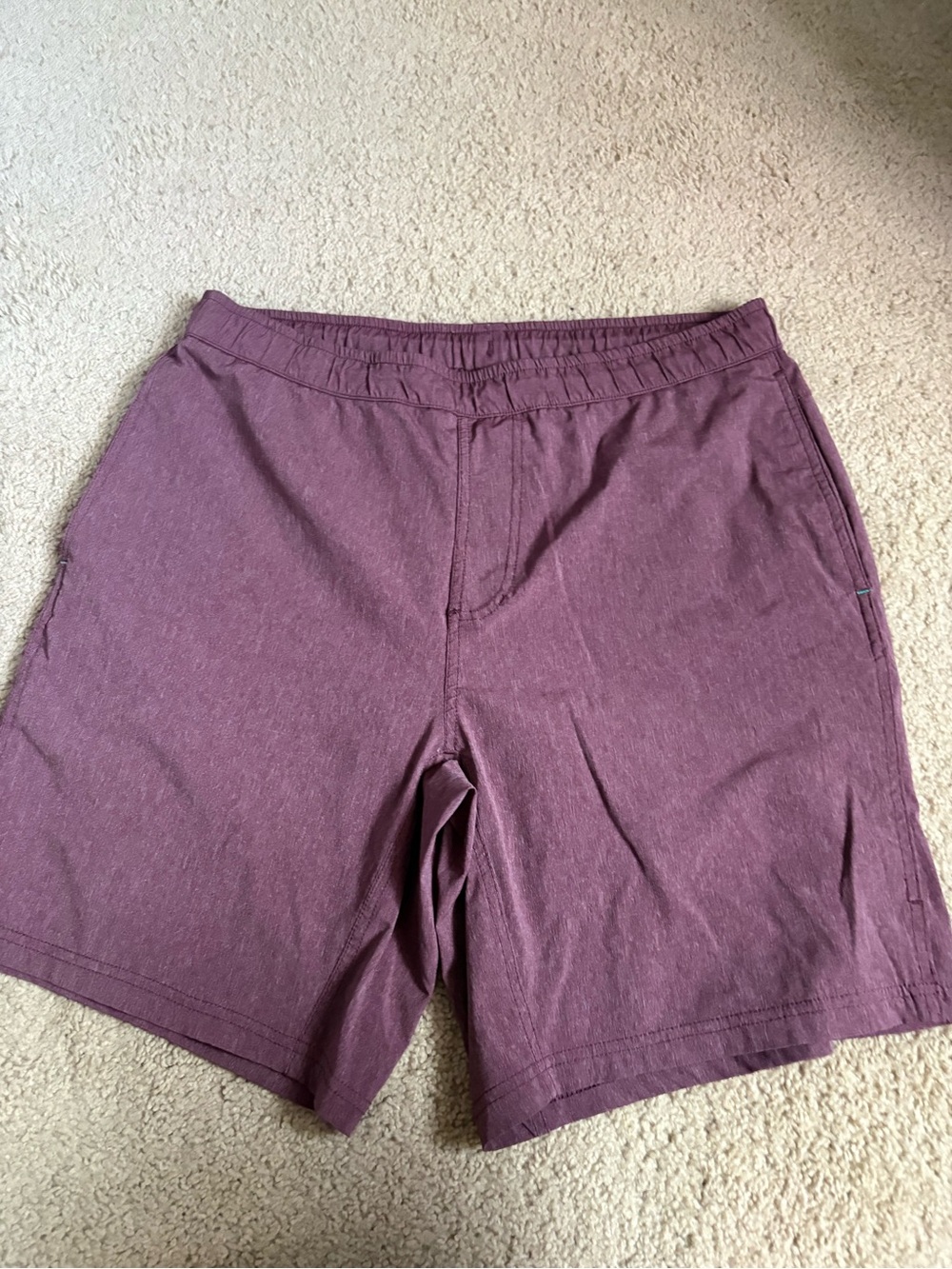 Myles Everyday Short with Teal Interior Athletic Shorts in Plum